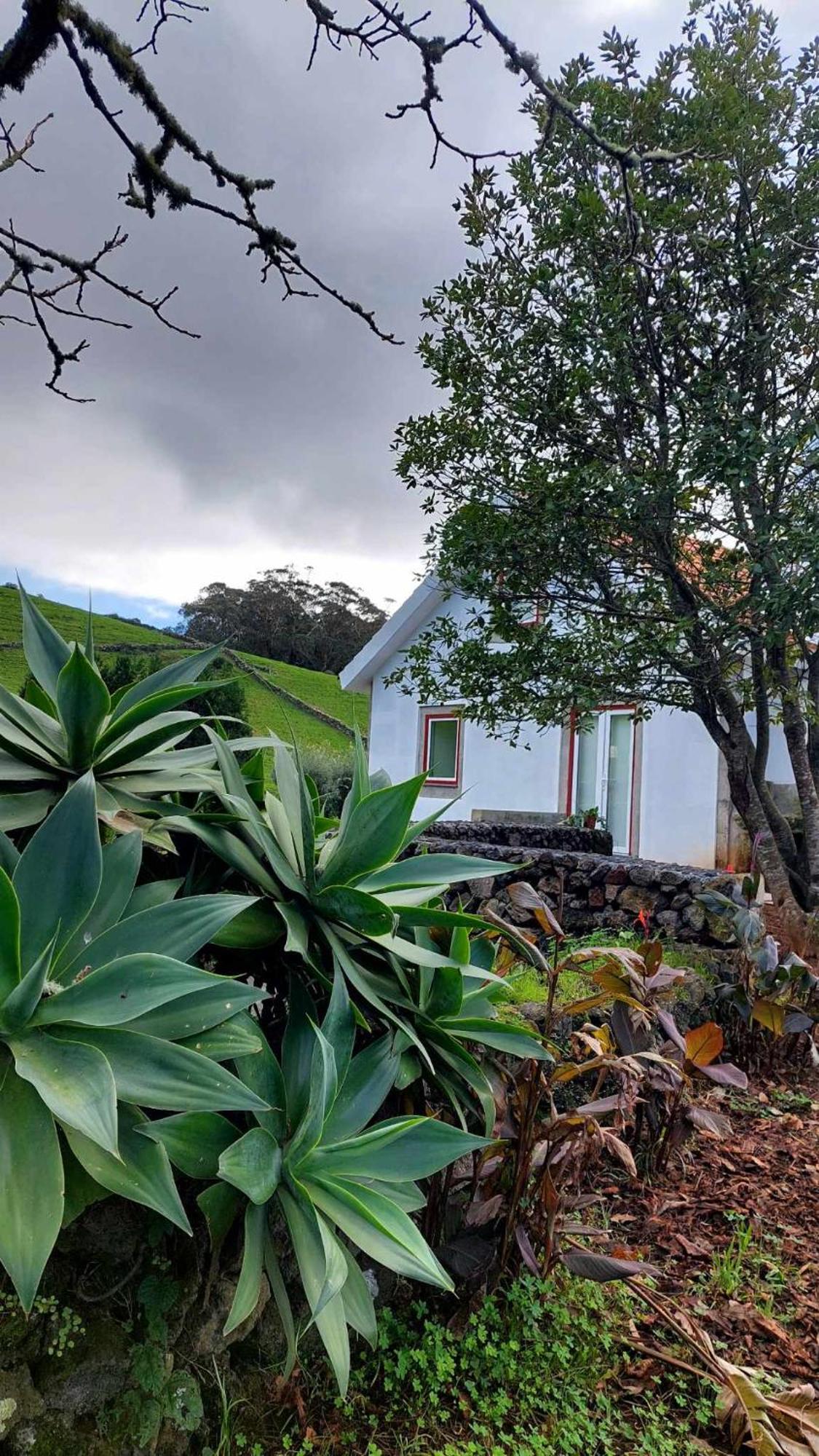 Casa De Campo Franco Da Serra Angra do Heroismo Luaran gambar
