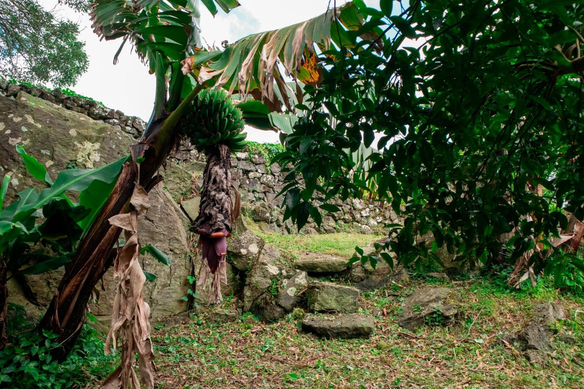 Casa De Campo Franco Da Serra Angra do Heroismo Luaran gambar