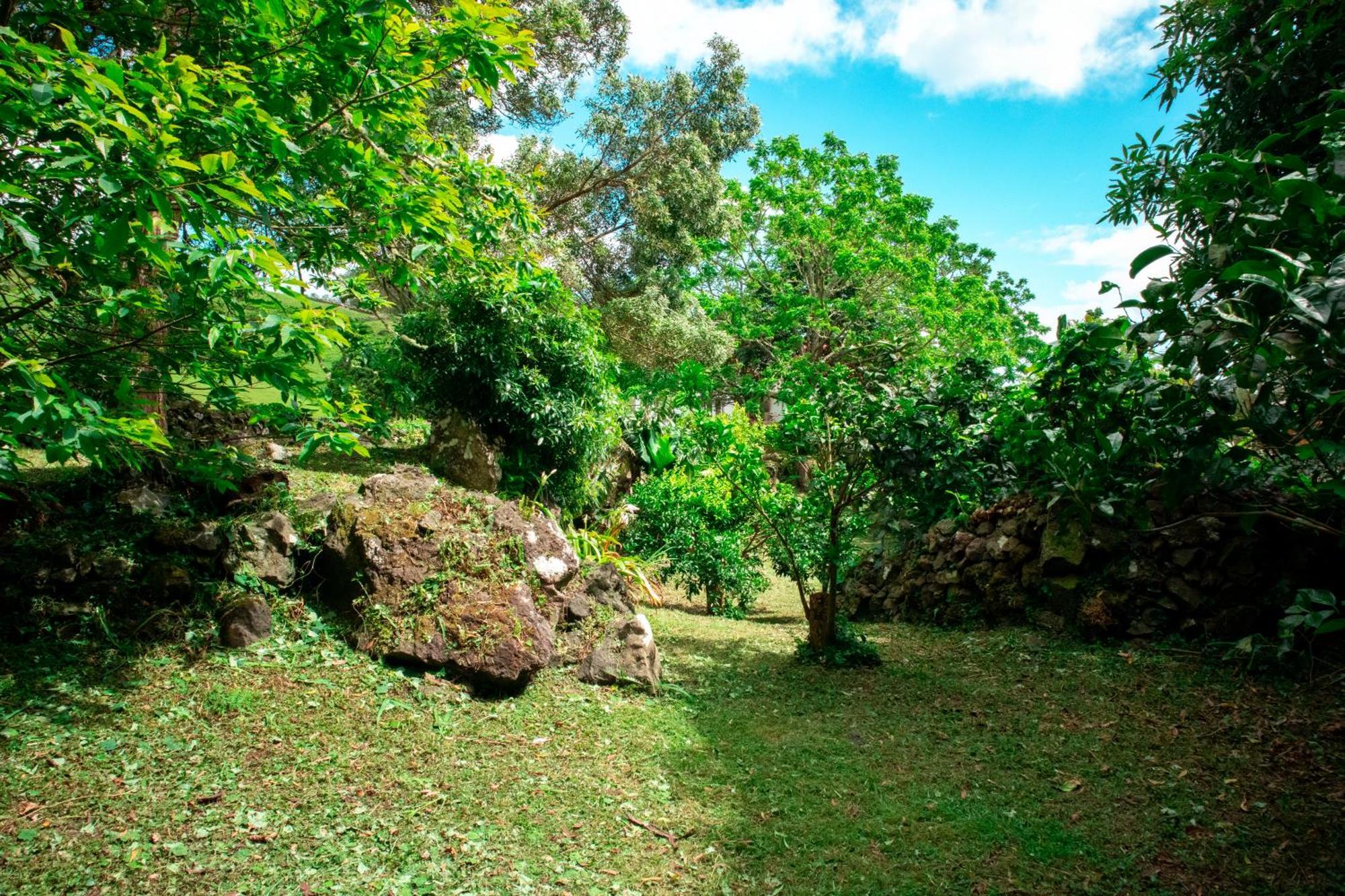 Casa De Campo Franco Da Serra Angra do Heroismo Luaran gambar