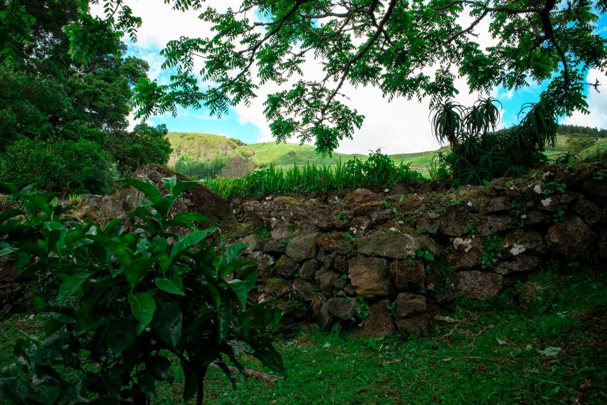 Casa De Campo Franco Da Serra Angra do Heroismo Luaran gambar